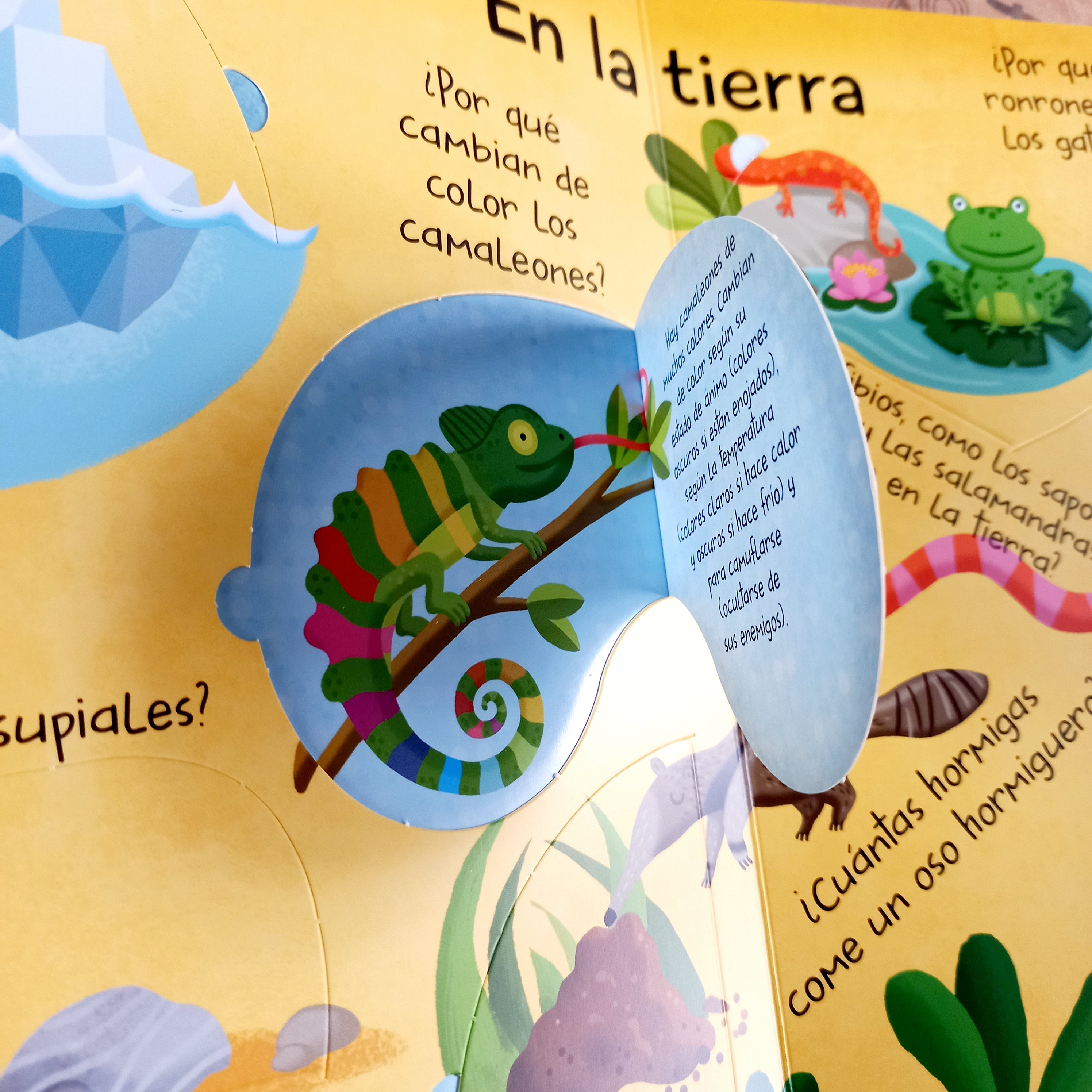 Los animales. Mi gran libro de respuestas Los animales. Mi gran libro de respuestas